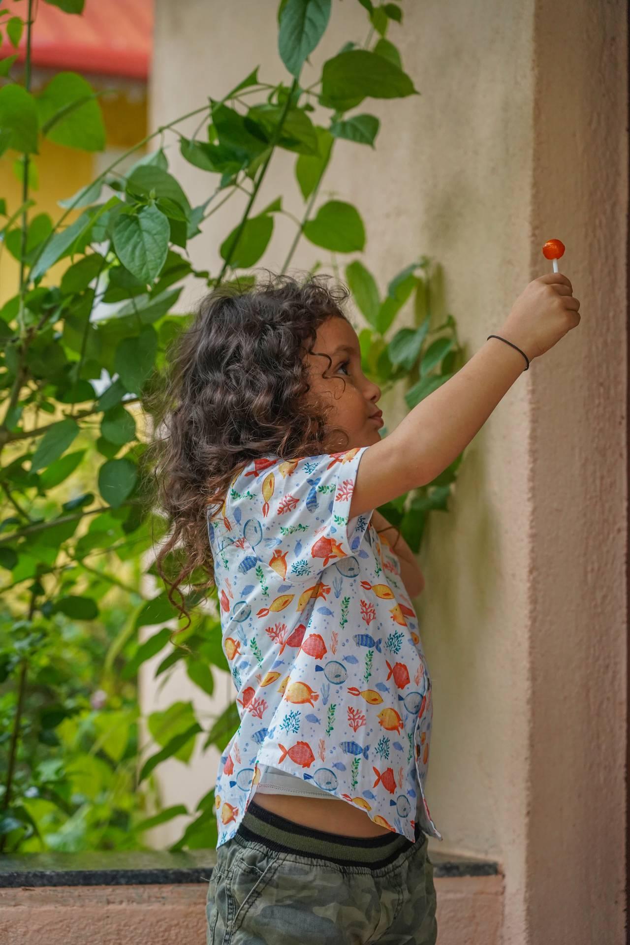 Fish and marine life printed cotton shirt for toddlers and boys