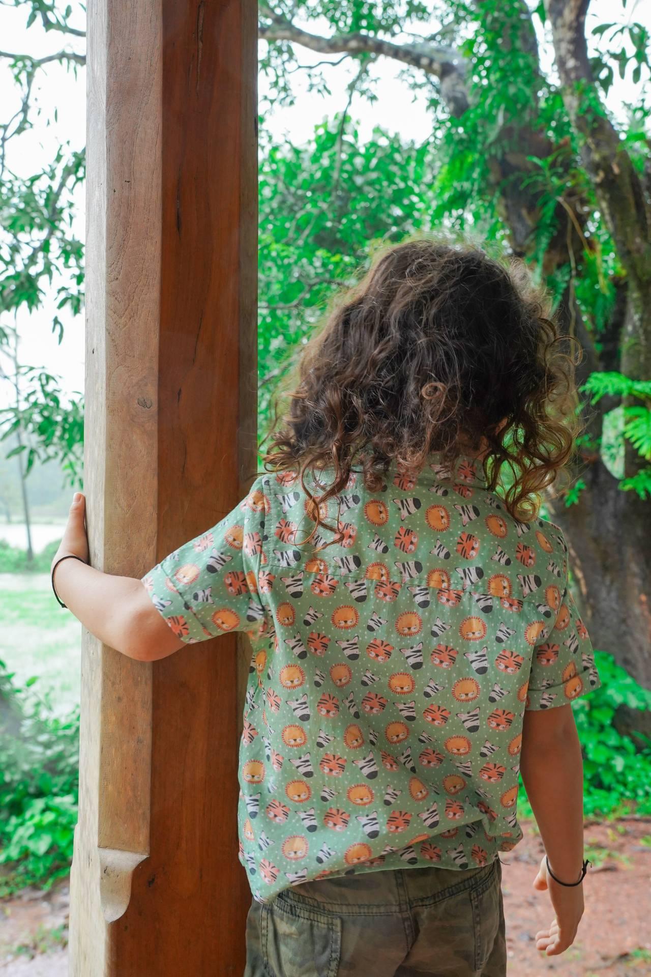 Zebras and Tigers printed cotton shirt for boys and toddlers